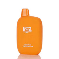 Thumbnail for FLUM PEBBLE DISPOSABLE - 6000 PUFFS - EJUICEOVERSTOCK.COM