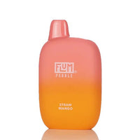 Thumbnail for FLUM PEBBLE DISPOSABLE - 6000 PUFFS - EJUICEOVERSTOCK.COM
