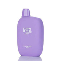 Thumbnail for FLUM PEBBLE DISPOSABLE - 6000 PUFFS - EJUICEOVERSTOCK.COM