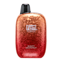 Thumbnail for FLUM PEBBLE DISPOSABLE - 6000 PUFFS - EJUICEOVERSTOCK.COM
