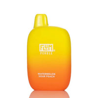 Thumbnail for FLUM PEBBLE DISPOSABLE - 6000 PUFFS - EJUICEOVERSTOCK.COM