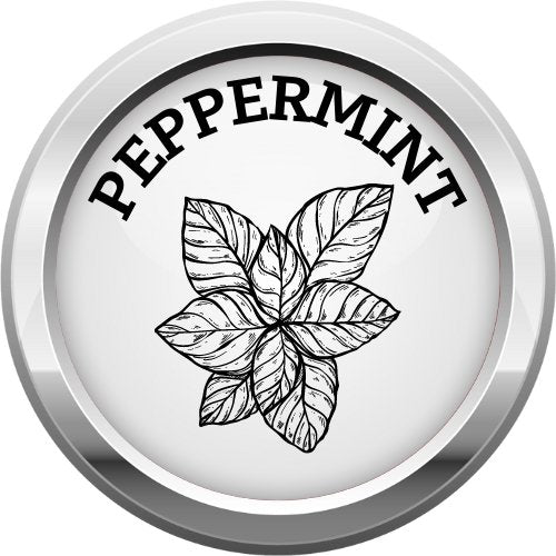 PEPPERMINT FLAVOR - EJUICEOVERSTOCK.COM