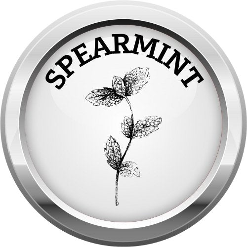 SPEARMINT FLAVOR - EJUICEOVERSTOCK.COM