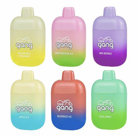 GANG MAX DISPOSABLE - 6000 PUFFS