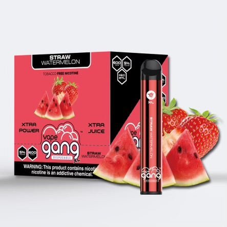 CLEARANCE SALE! - GANG XL DISPOSABLE VAPE - 600 PUFF - EJUICEOVERSTOCK.COM