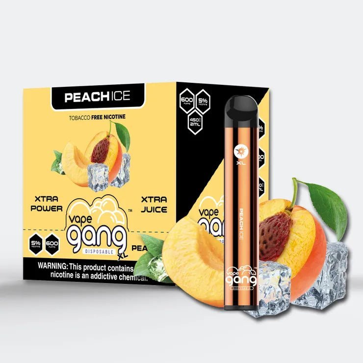 CLEARANCE SALE! - GANG XL DISPOSABLE VAPE - 600 PUFF - EJUICEOVERSTOCK.COM