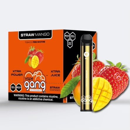 CLEARANCE SALE! - GANG XL DISPOSABLE VAPE - 600 PUFF - EJUICEOVERSTOCK.COM