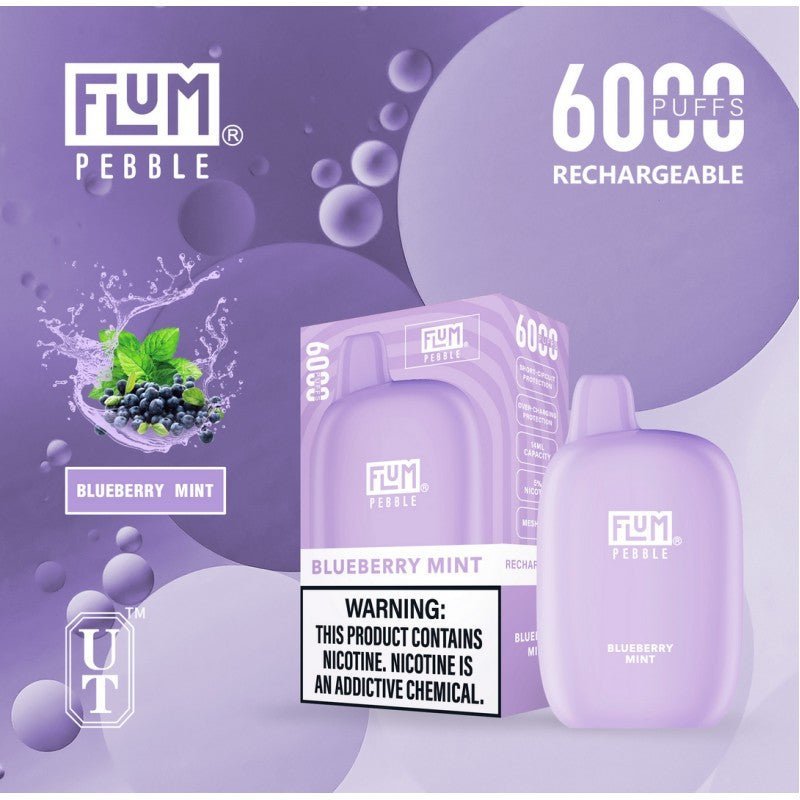 FLUM PEBBLE DISPOSABLE - 6000 PUFFS - EJUICEOVERSTOCK.COM